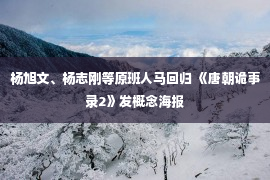 杨旭文、杨志刚等原班人马回归 《唐朝诡事录2》发概念海报