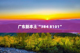 广东新本土“384 8101”