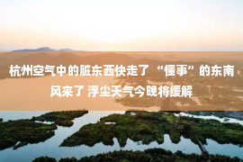 杭州空气中的脏东西快走了 “懂事”的东南风来了 浮尘天气今晚将缓解