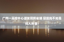 广州一高校中心湖发现鳄雀鳝 目前尚不知是何人所放！