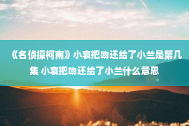 《名侦探柯南》小哀把吻还给了小兰是第几集 小哀把吻还给了小兰什么意思