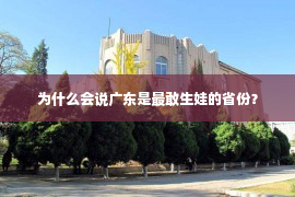 为什么会说广东是最敢生娃的省份？