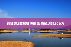 曲婉婷2套房被法拍 起拍价均超200万