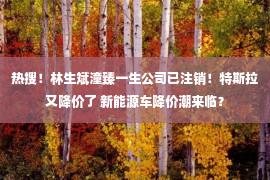 热搜！林生斌潼臻一生公司已注销！特斯拉又降价了 新能源车降价潮来临？