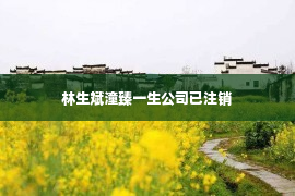 林生斌潼臻一生公司已注销