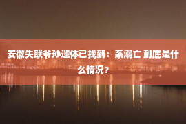 安徽失联爷孙遗体已找到：系溺亡 到底是什么情况？