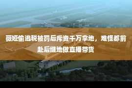 薇娅偷逃税被罚后斥资千万拿地，难怪都前赴后继地做直播带货