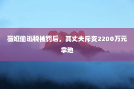 薇娅偷逃税被罚后，其丈夫斥资2200万元拿地