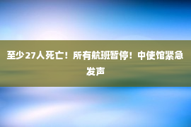 至少27人死亡！所有航班暂停！中使馆紧急发声