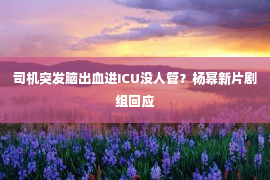 司机突发脑出血进ICU没人管？杨幂新片剧组回应