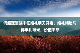 何超莲窦骁半亿婚礼明天开启，婚礼场地与伴手礼曝光，价值不菲