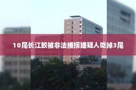 10尾长江鲛被非法捕捞嫌疑人吃掉3尾