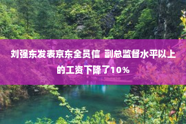 刘强东发表京东全员信  副总监督水平以上的工资下降了10%