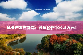 比亚迪发布新车：预售价格109.8万元！