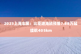 2023上海车展：比亚迪海鸥预售7.88万起 续航405km