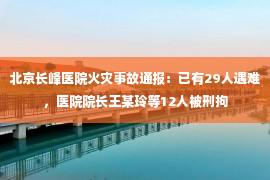 北京长峰医院火灾事故通报：已有29人遇难，医院院长王某玲等12人被刑拘