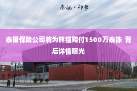 泰国保险公司将为熊猫赔付1500万泰铢  背后详情曝光