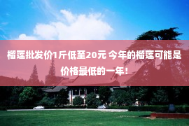 榴莲批发价1斤低至20元 今年的榴莲可能是价格最低的一年！