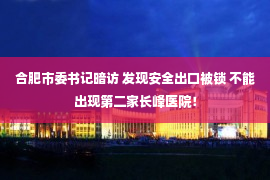 合肥市委书记暗访 发现安全出口被锁 不能出现第二家长峰医院！