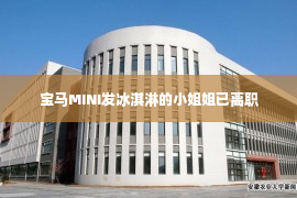 宝马MINI发冰淇淋的小姐姐已离职