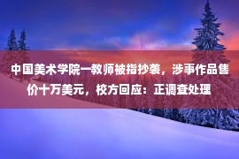 中国美术学院一教师被指抄袭，涉事作品售价十万美元，校方回应：正调查处理