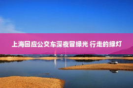 上海回应公交车深夜冒绿光 行走的绿灯