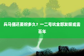 兵马俑还要挖多久？一二号坑全部发掘或需百年