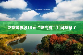 吃烧烤被收15元“燃气费”？网友怒了