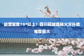 峭壁坡度70°以上！四川稻城森林火灾扑救难度极大