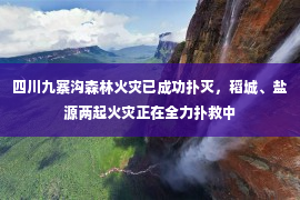 四川九寨沟森林火灾已成功扑灭，稻城、盐源两起火灾正在全力扑救中