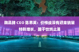 魏品牌 CEO 陈思英：价格战没有迎来销量特别增长，属于饮鸩止渴