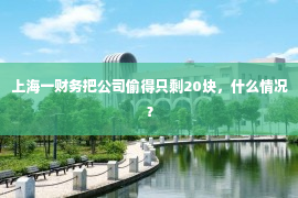 上海一财务把公司偷得只剩20块，什么情况？