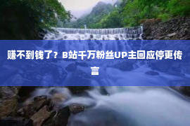 赚不到钱了？B站千万粉丝UP主回应停更传言