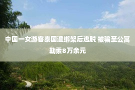 中国一女游客泰国遭绑架后逃脱 被骗至公寓勒索8万余元