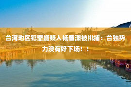 台湾地区犯罪嫌疑人杨智渊被批捕：台独势力没有好下场！！