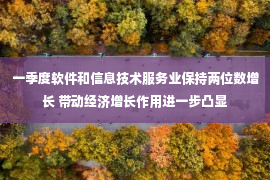 一季度软件和信息技术服务业保持两位数增长 带动经济增长作用进一步凸显