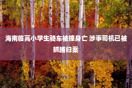 海南临高小学生骑车被撞身亡 涉事司机已被抓捕归案