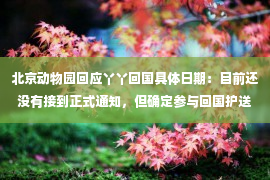 北京动物园回应丫丫回国具体日期：目前还没有接到正式通知，但确定参与回国护送