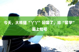 今天，大熊猫“丫丫”回国了，给“留学”画上句号