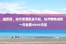 减肥师、训犬师等职业兴起，杭州宠物减肥一月收费4000元起