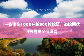 一夜偷盗1000斤蛇500枚蛇蛋，盗蛇团伙4名成员全部落网