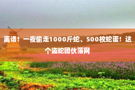 离谱！一夜偷走1000斤蛇、500枚蛇蛋！这个盗蛇团伙落网