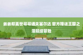 弟弟帮离世哥哥通关塞尔达 官方赠送王国之泪延续冒险