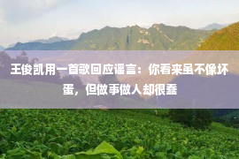 王俊凯用一首歌回应谣言：你看来虽不像坏蛋，但做事做人却很蠢