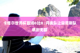 卡塔尔世界杯首场0比0 :丹麦队让突尼斯队感到无聊