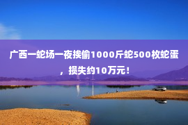 广西一蛇场一夜挨偷1000斤蛇500枚蛇蛋，损失约10万元！