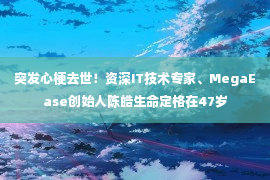 突发心梗去世！资深IT技术专家、MegaEase创始人陈皓生命定格在47岁