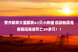 警方破获大案解救63只小熊猫 在动物园寄养期间陆续死亡20多只！！