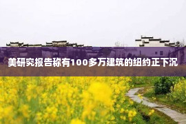 美研究报告称有100多万建筑的纽约正下沉