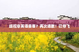 歧视非英语乘客？再次道歉！已停飞